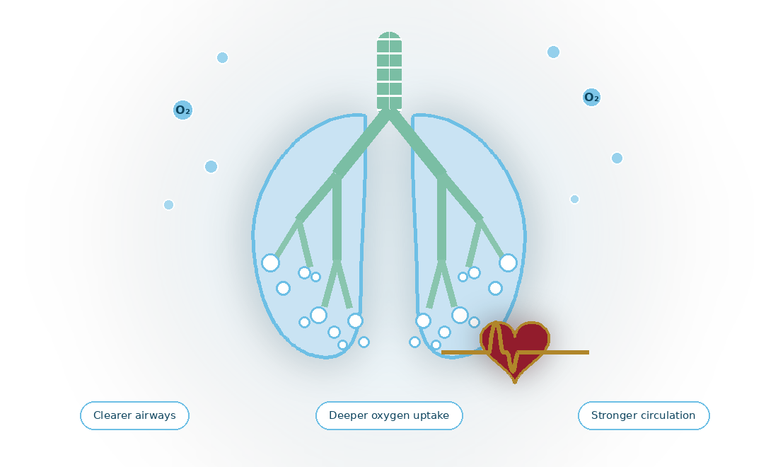 BreathEaseX benefits &mdash; clearer airways, deeper oxygen uptake and stronger circulation